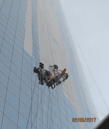 Project 19
